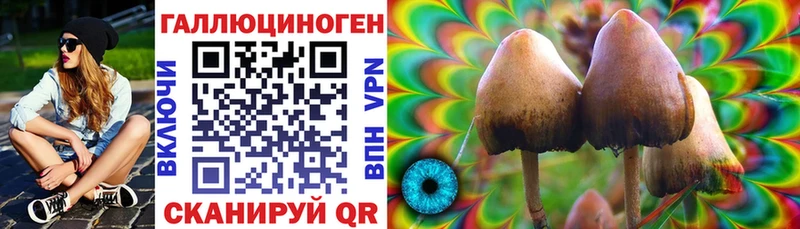 Галлюциногенные грибы Cubensis  Лысьва 