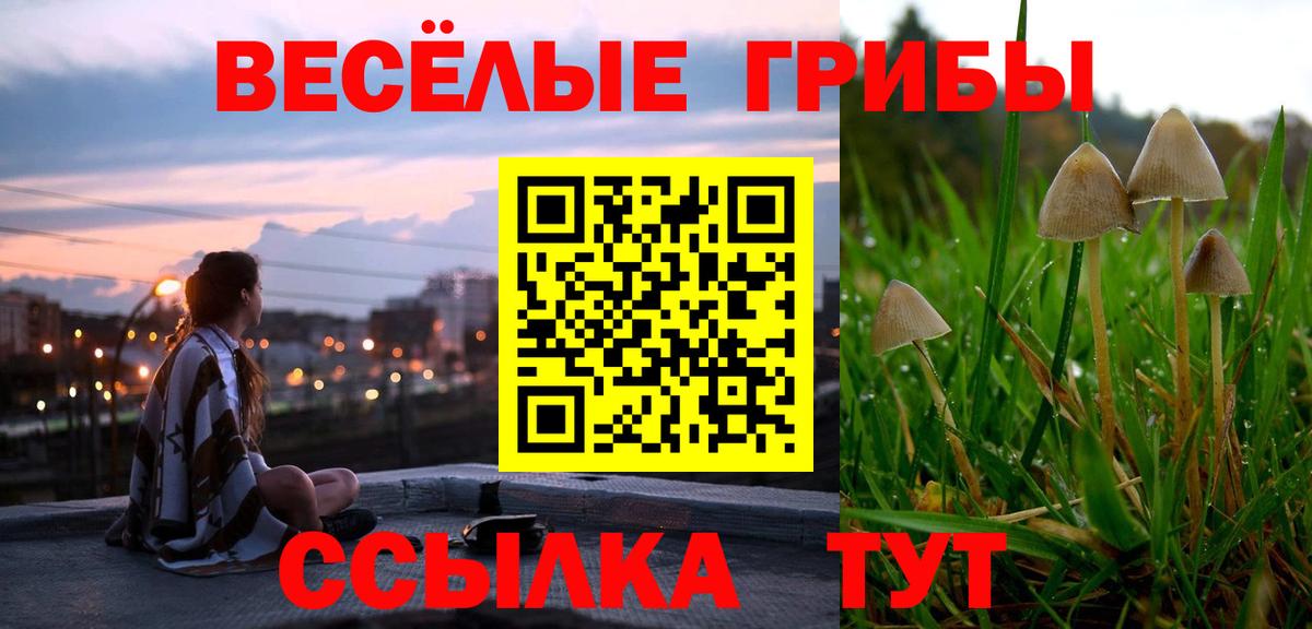Галлюциногенные грибы MAGIC MUSHROOMS Лысьва